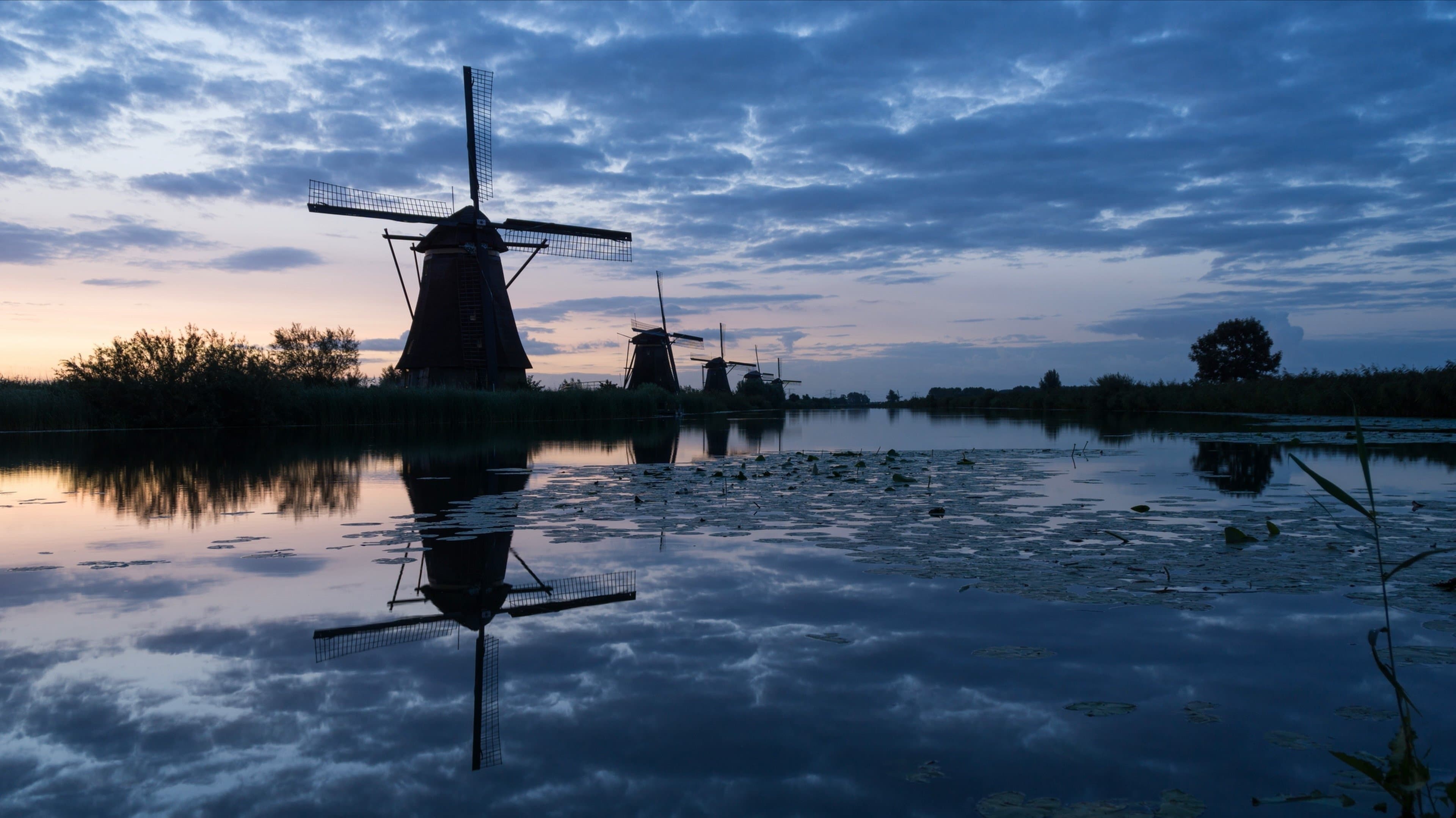 Poster backdrop for Sex, Drugs & Bicycles