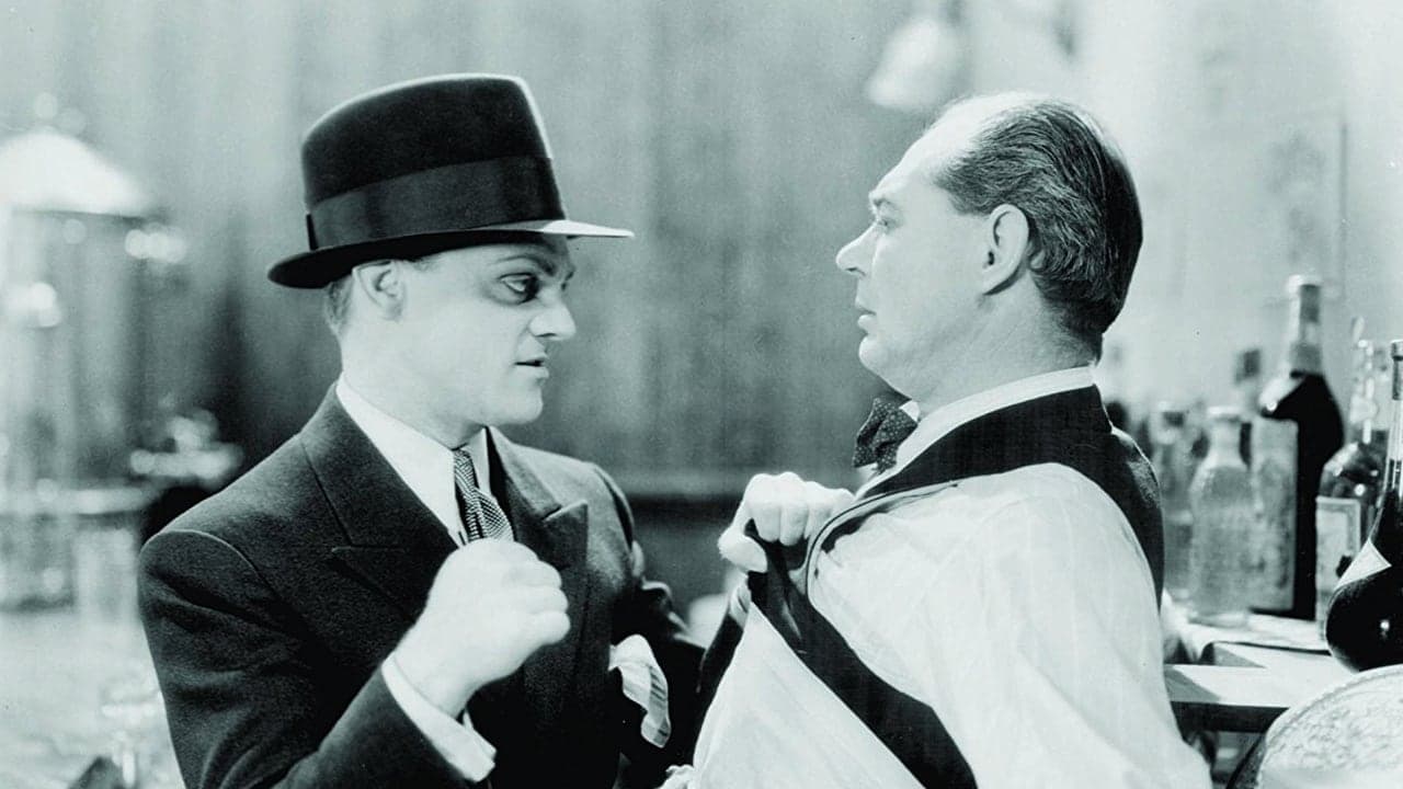 Poster backdrop for The Public Enemy