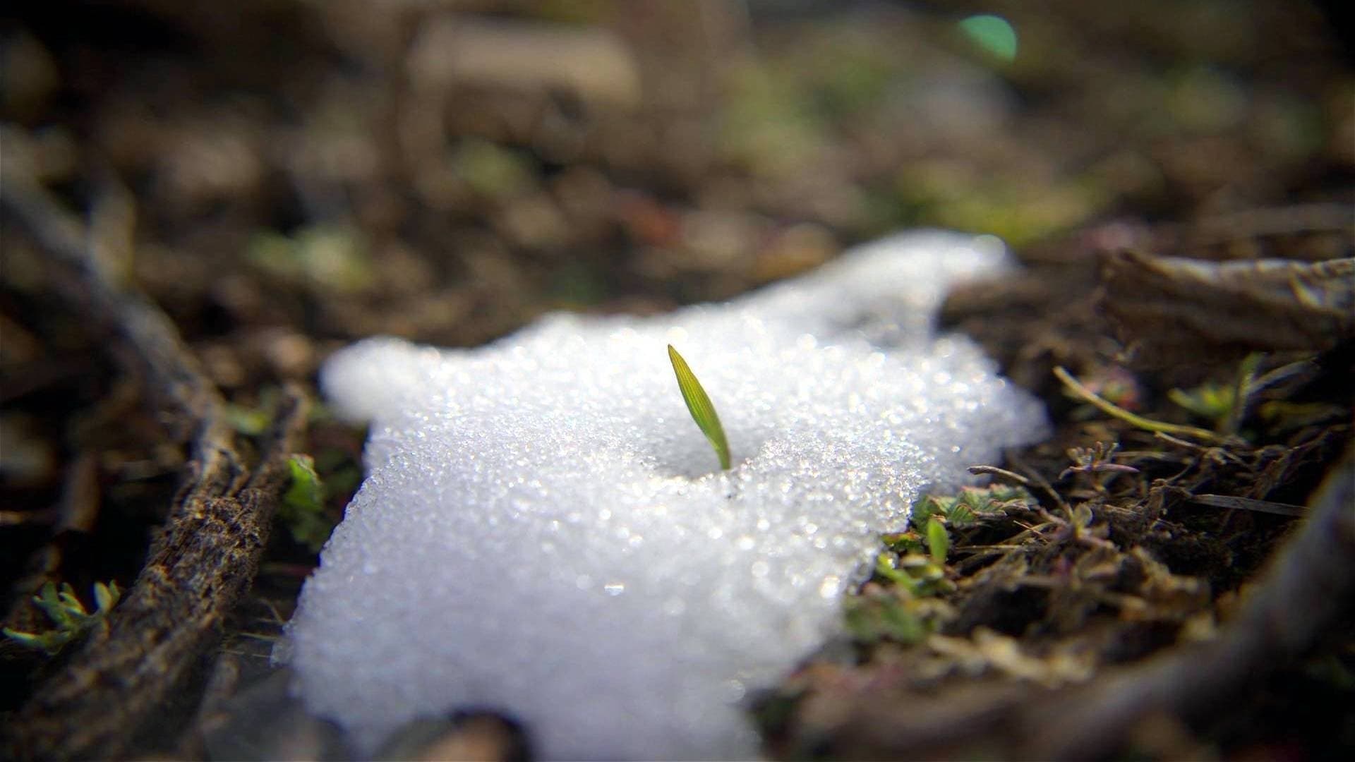 Poster backdrop for In Search of Balance