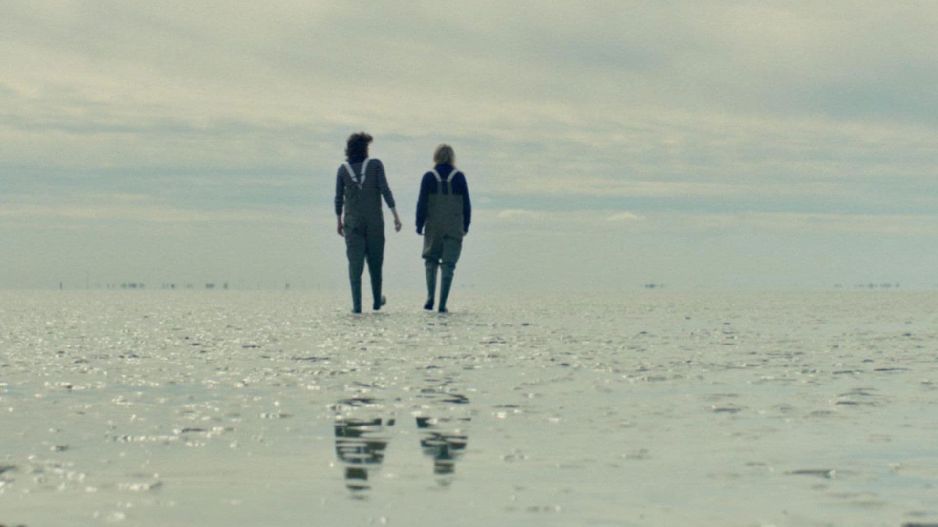 Poster backdrop for Wildflowers