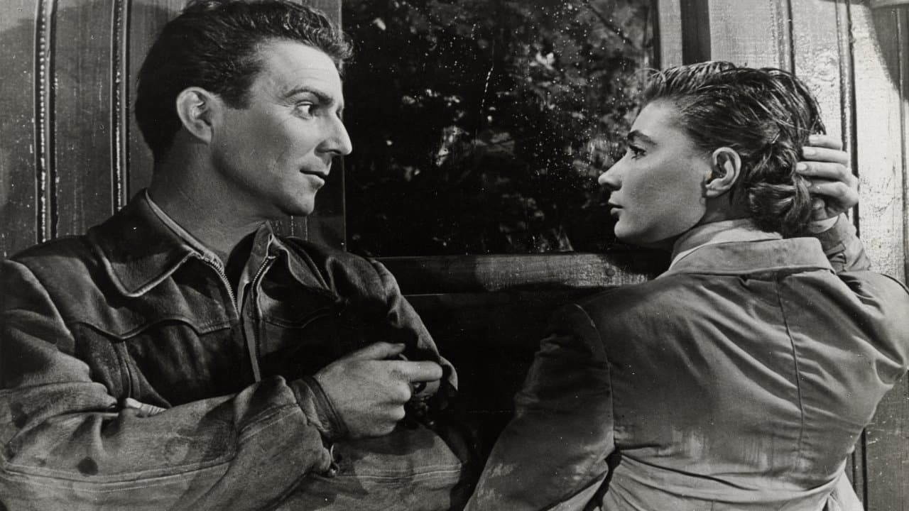 Poster backdrop for 2x2 Are Sometimes 5