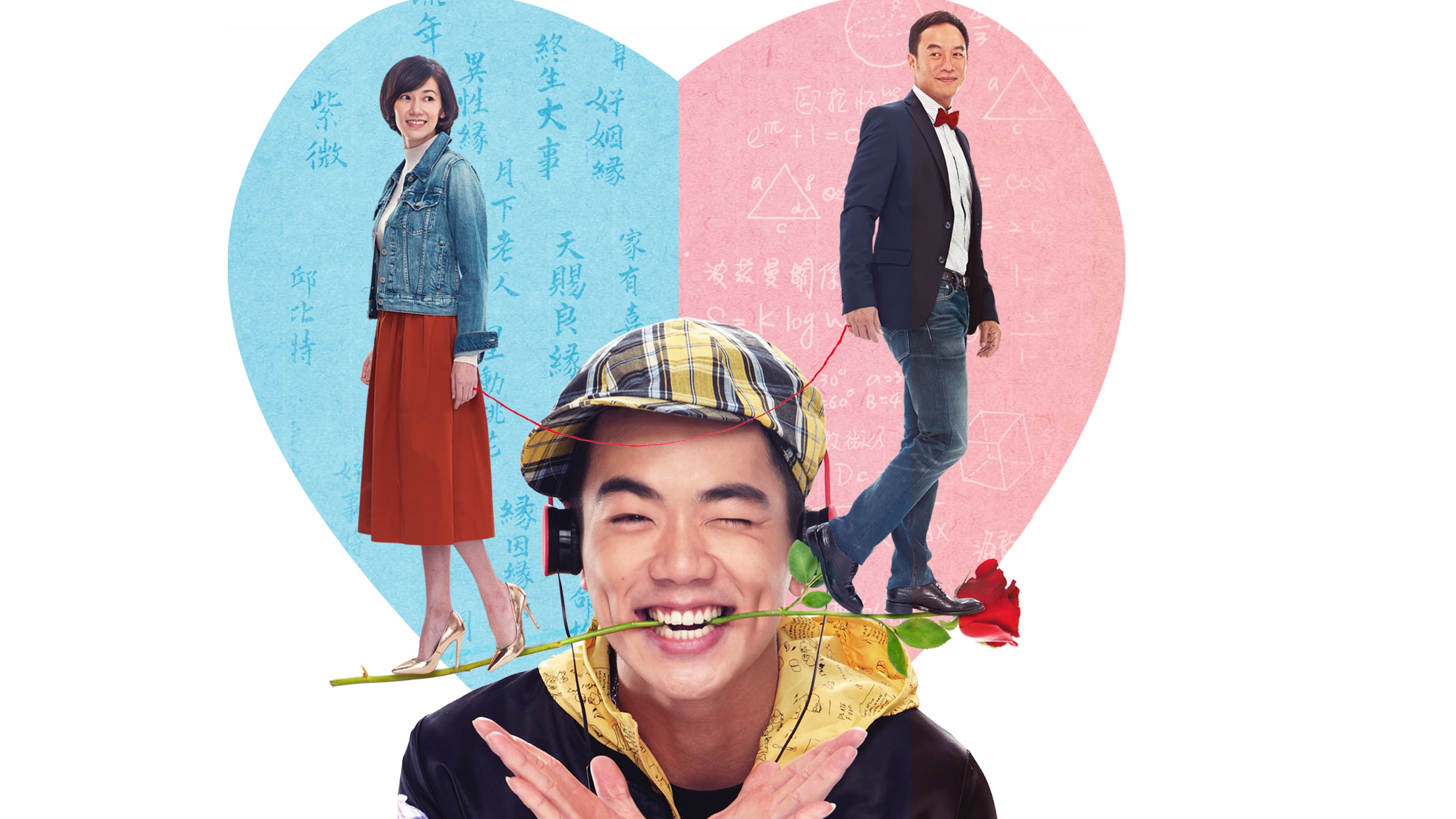 Poster backdrop for When Miracle Meets Maths