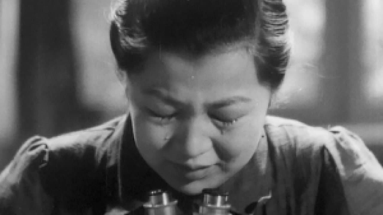 Poster backdrop for The Most Beautiful