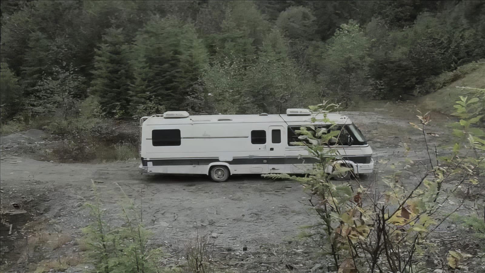 Poster backdrop for Crowsnest