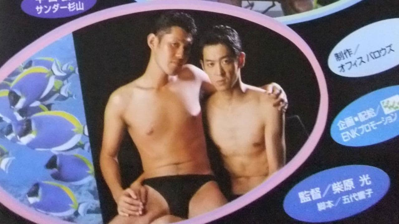 Poster backdrop for Dolphins return to the sea