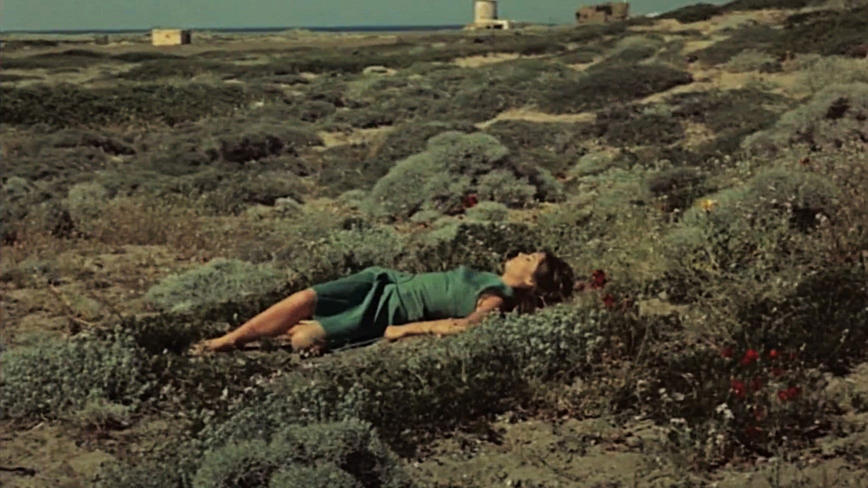 Poster backdrop for A Bullet Through the Heart