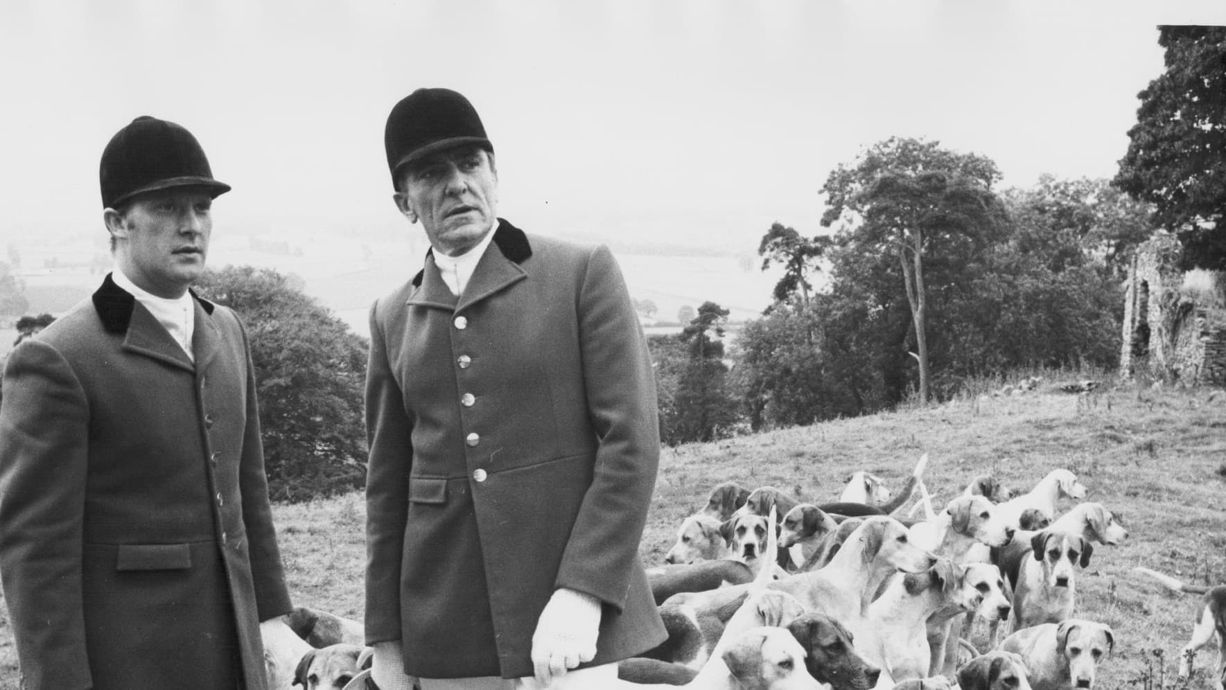 Poster backdrop for The Belstone Fox