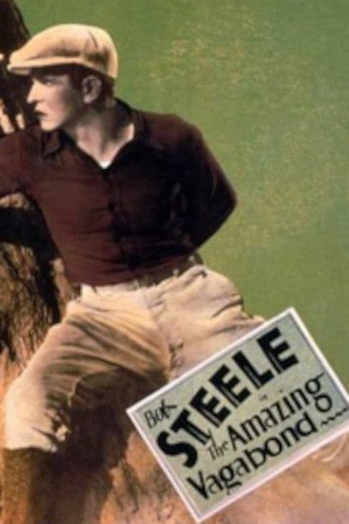 Poster backdrop for The Amazing Vagabond