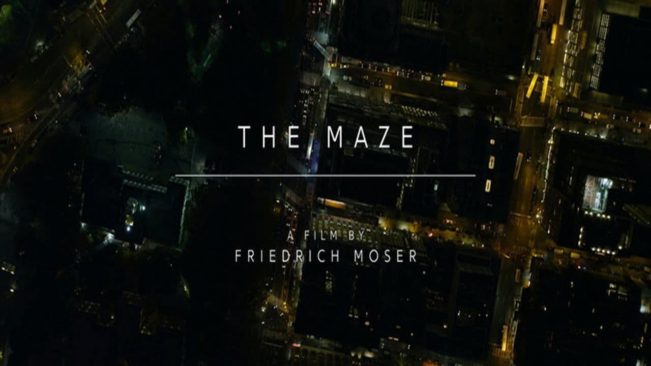 Poster backdrop for The Maze