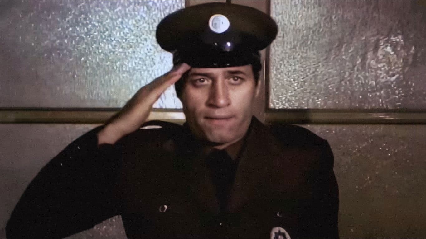 Poster backdrop for Bekçiler Kralı