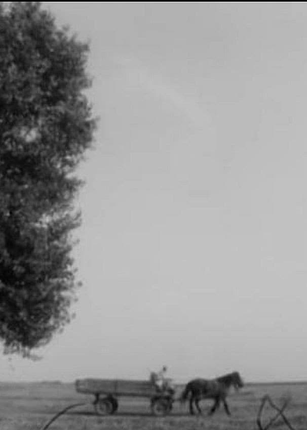 Poster backdrop for Summer Movie