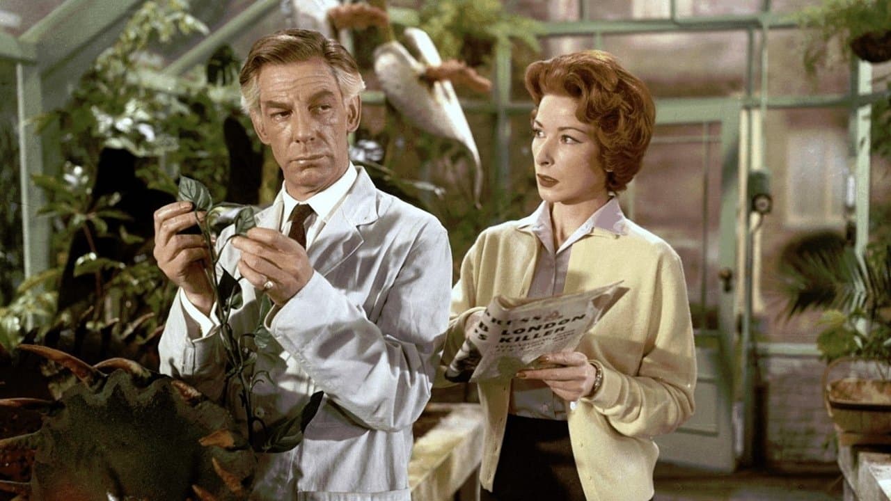 Poster backdrop for Konga