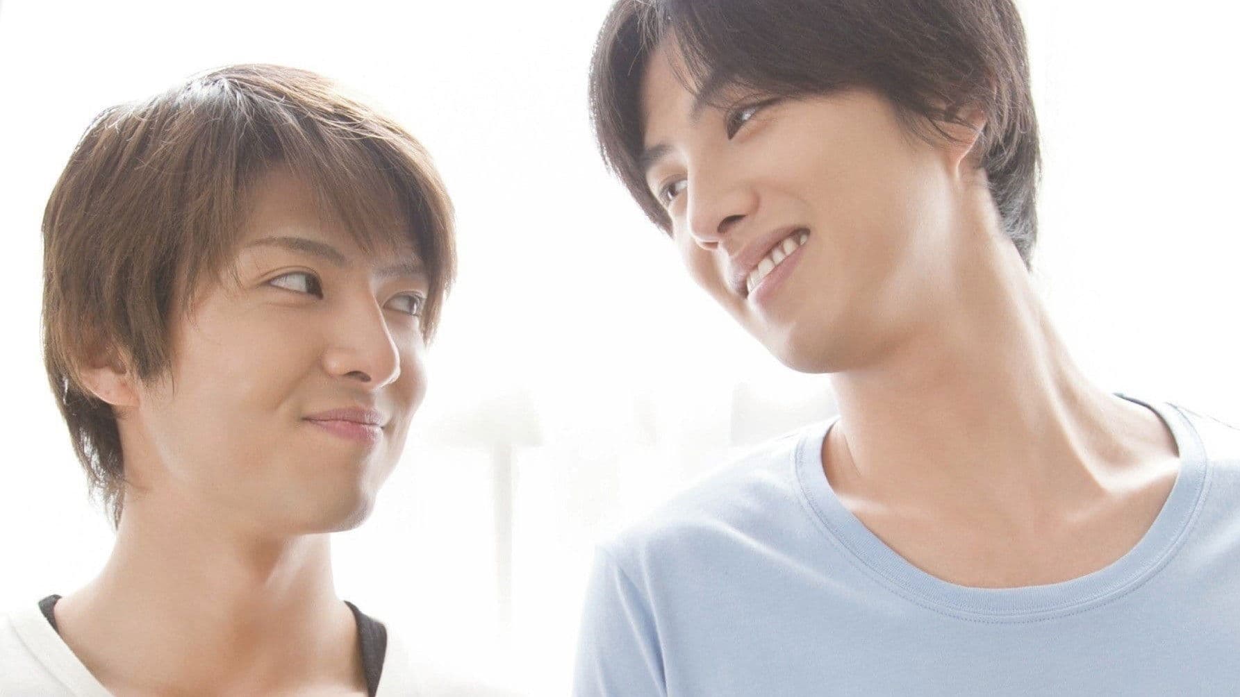 Poster backdrop for Shape of Happiness