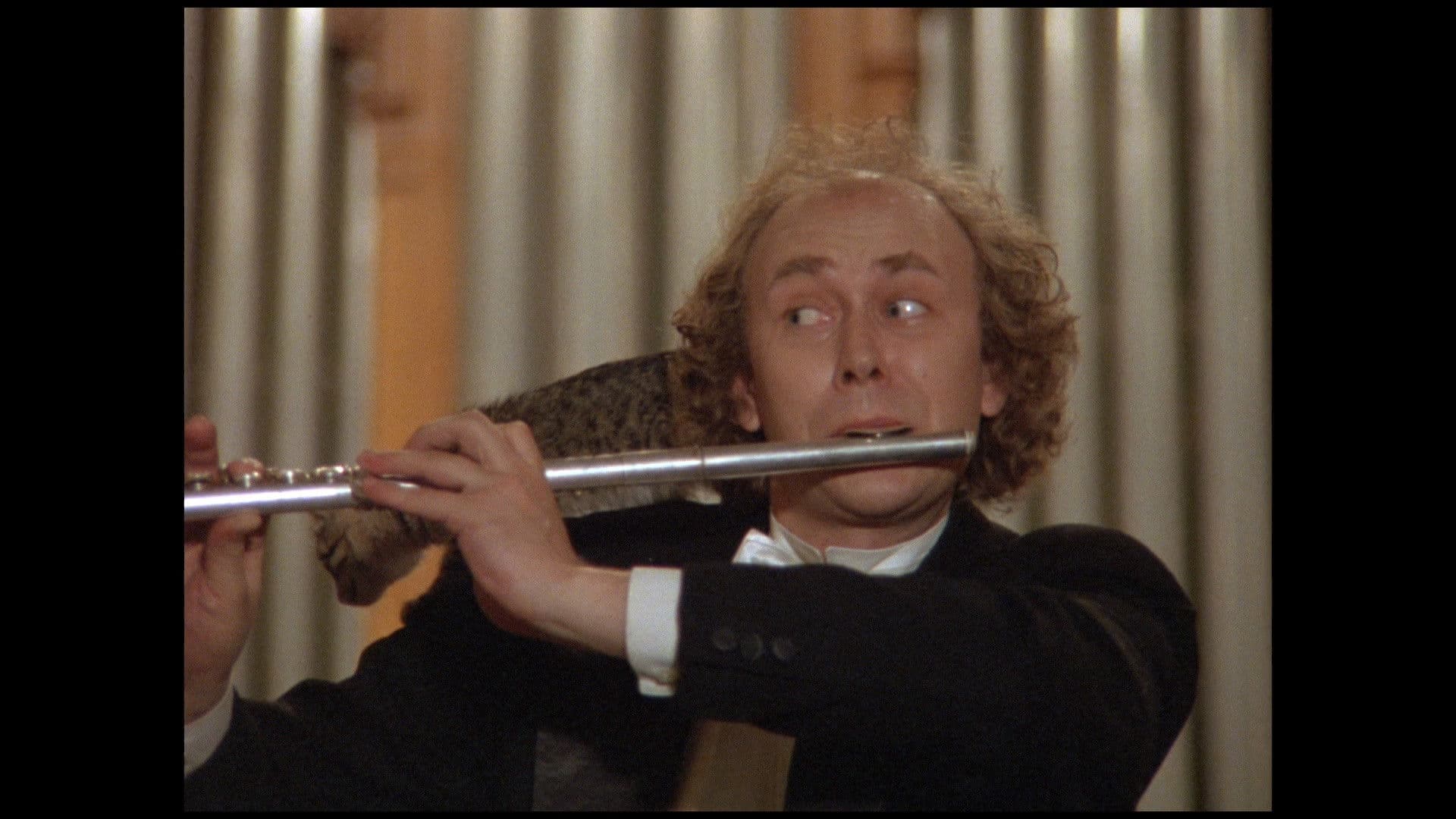 Poster backdrop for The Little Cat