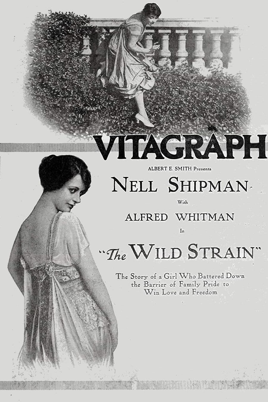 Poster backdrop for The Wild Strain