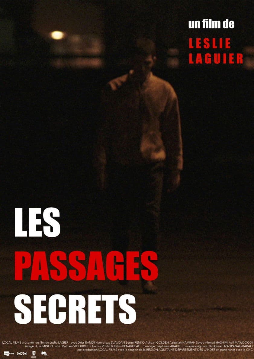 Poster backdrop for Les passages secrets