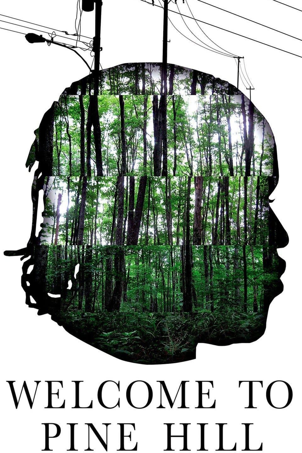 Poster backdrop for Welcome to Pine Hill