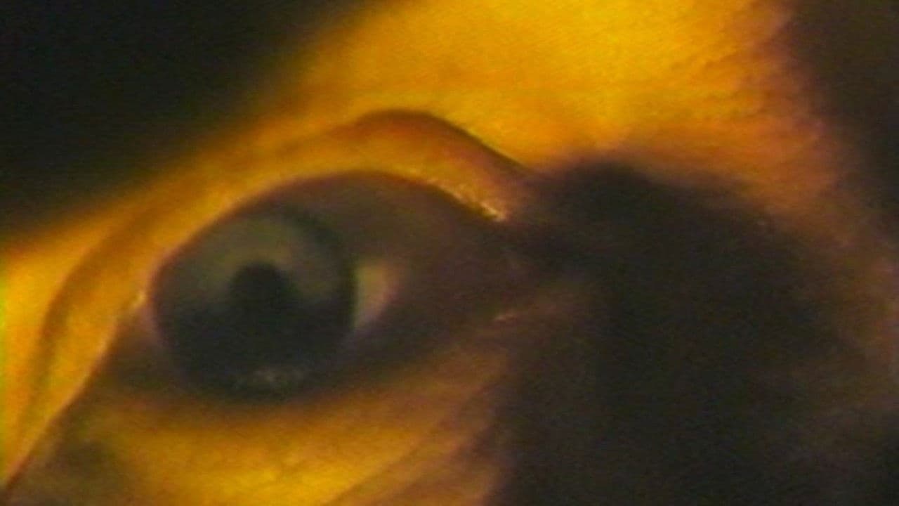 Poster backdrop for Highway Hypnosis