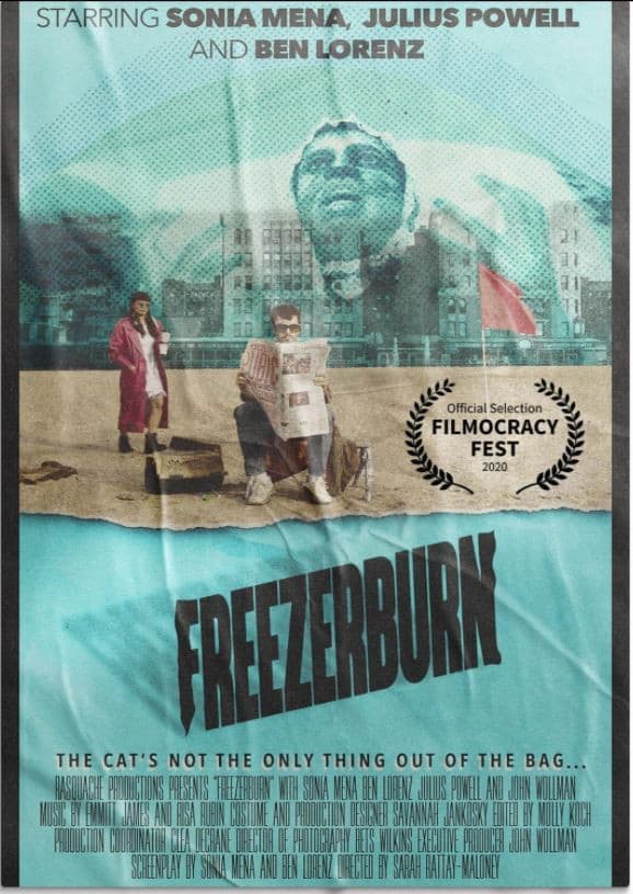 Poster backdrop for Freezerburn