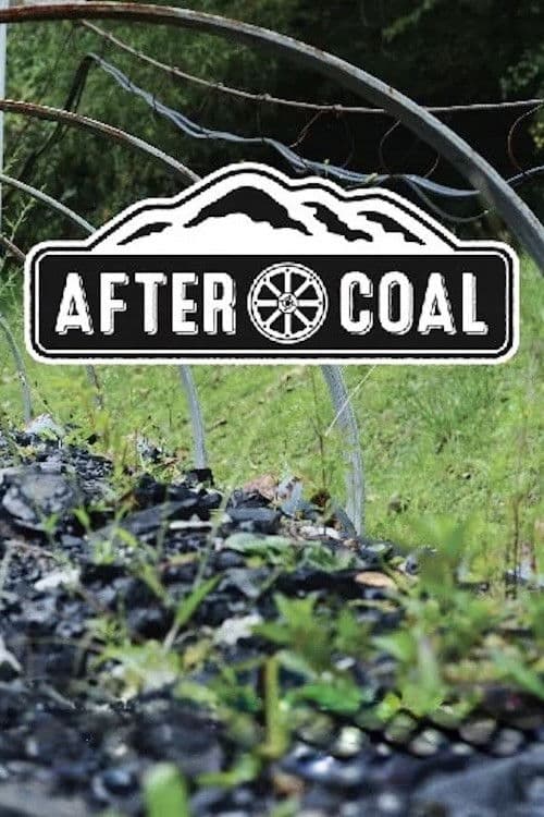 Poster backdrop for After Coal: Welsh and Appalachian Mining Communities