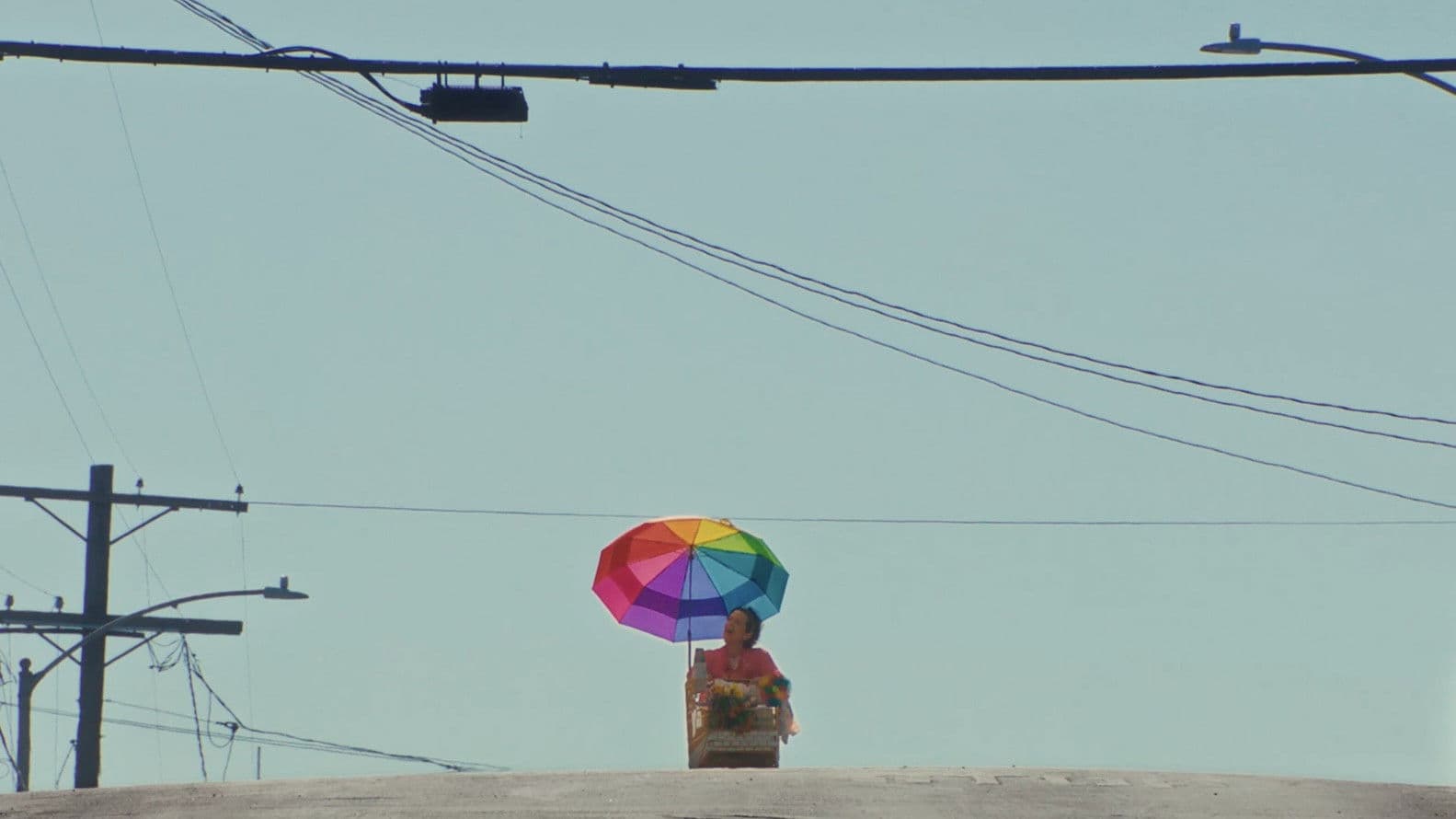 Poster backdrop for The Moth & The Fly
