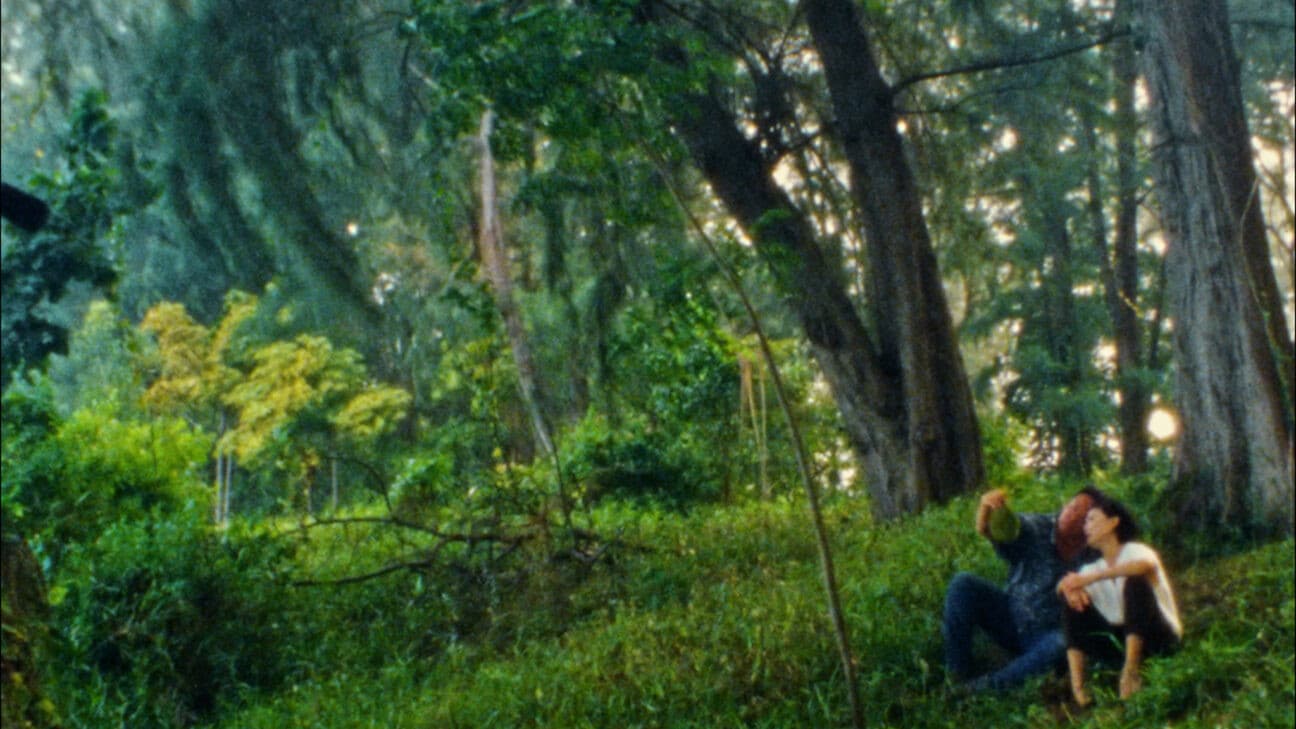 Poster backdrop for Durian, Durian