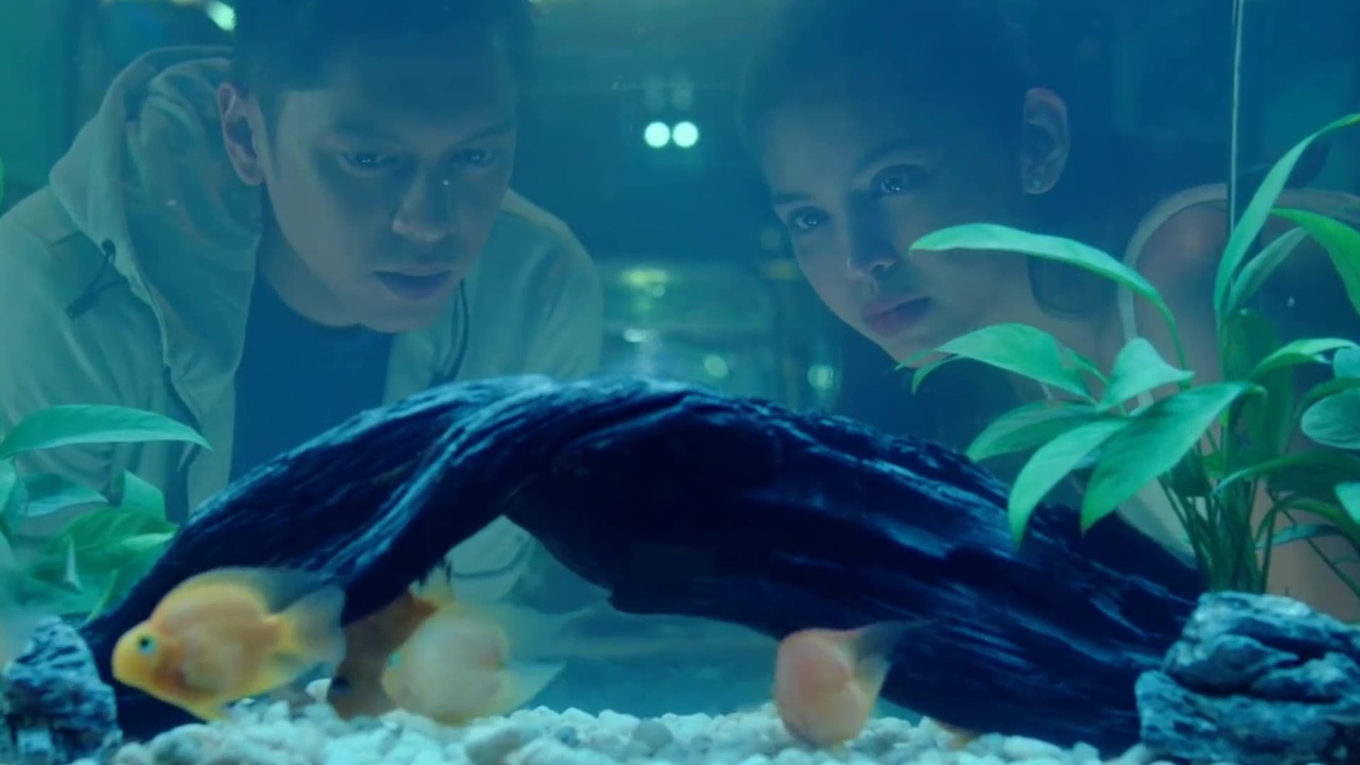 Poster backdrop for Isa Pa, With Feelings