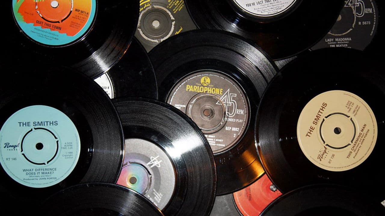 Poster backdrop for The Joy Of The Single