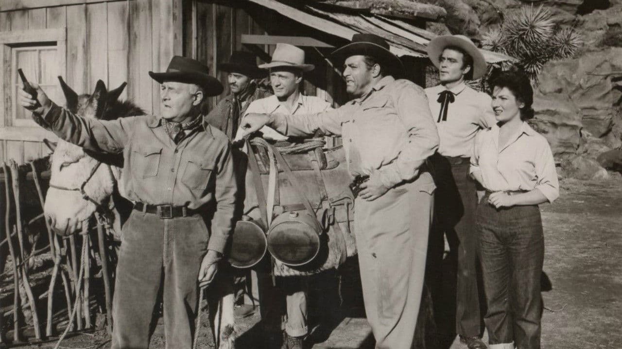 Poster backdrop for Secret of Treasure Mountain