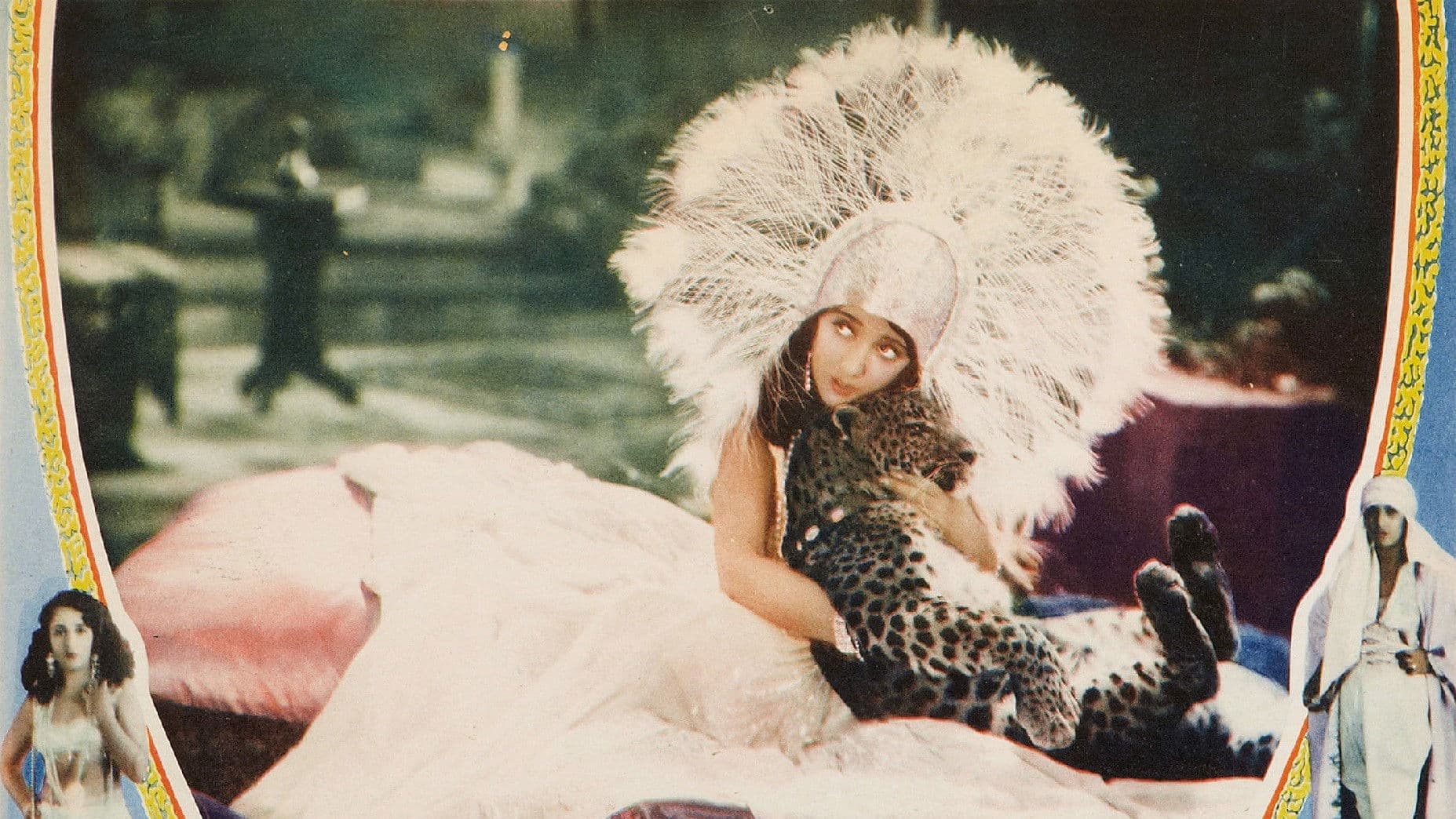 Poster backdrop for She's a Sheik