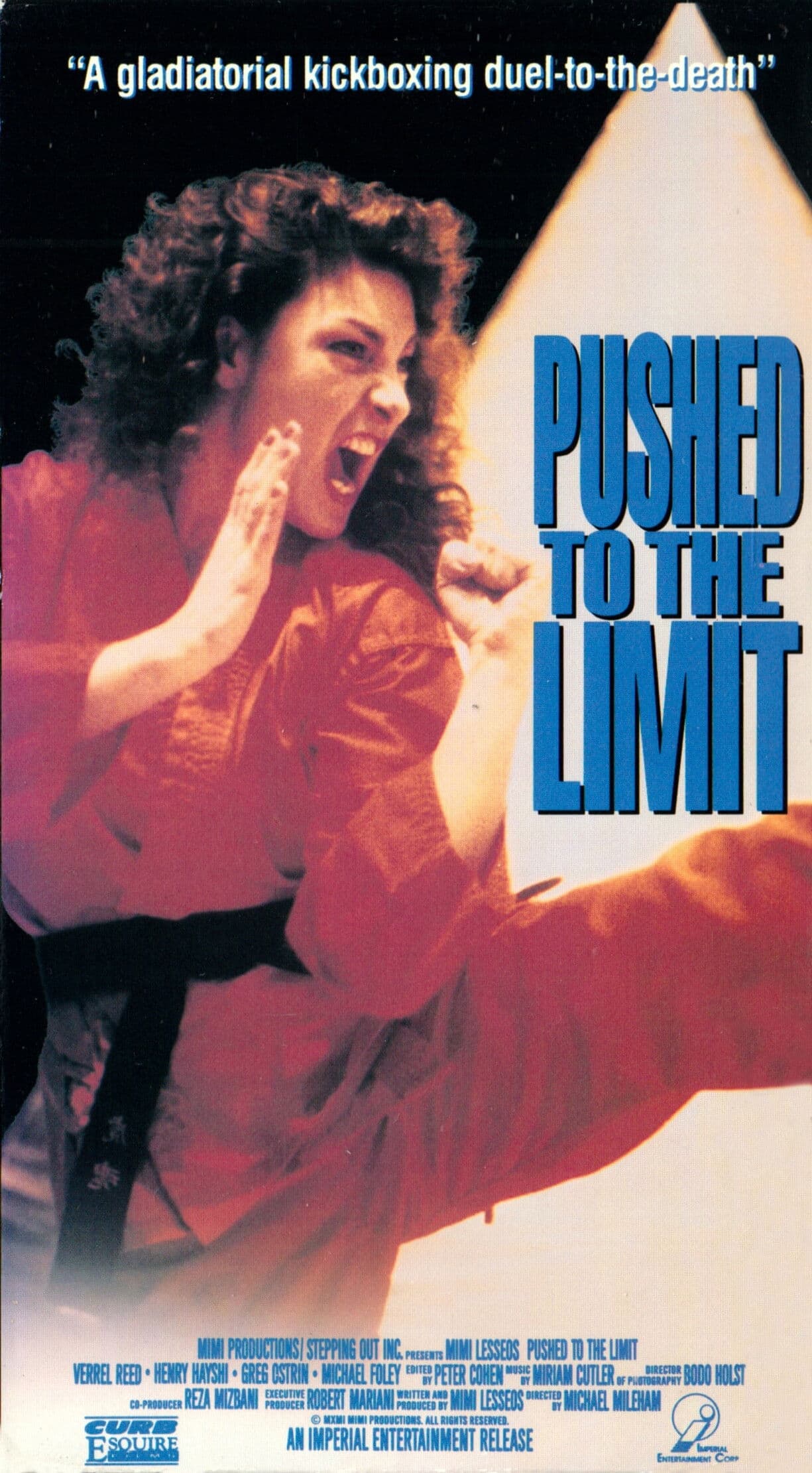 Poster backdrop for Pushed to the Limit
