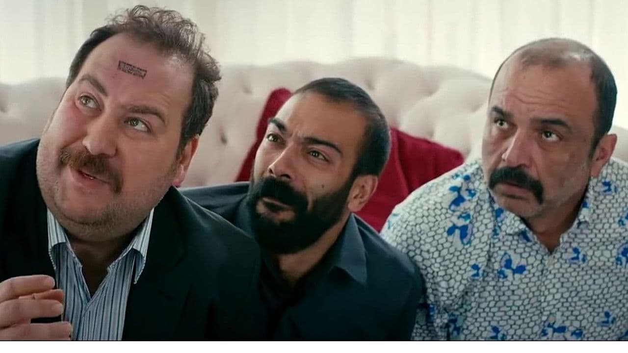 Poster backdrop for Sinyalciler