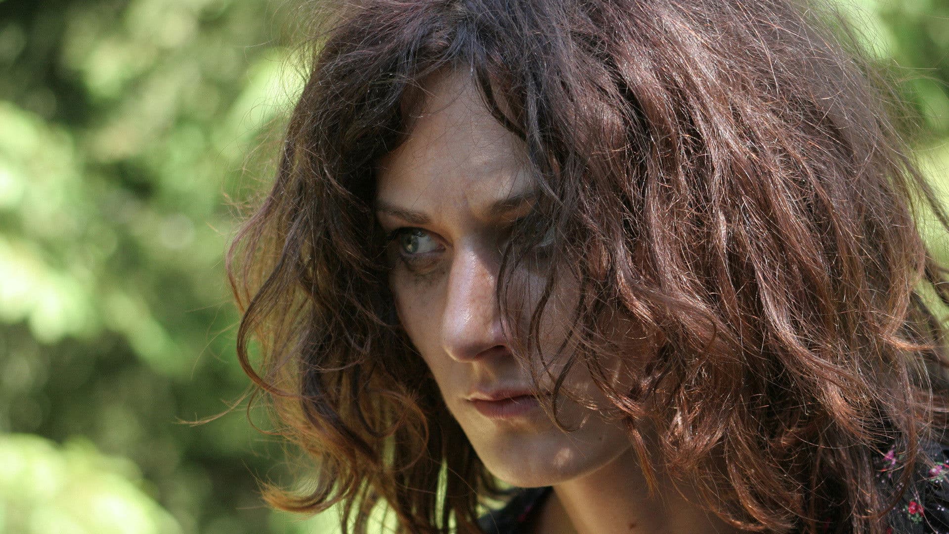 Poster backdrop for Katalin Varga