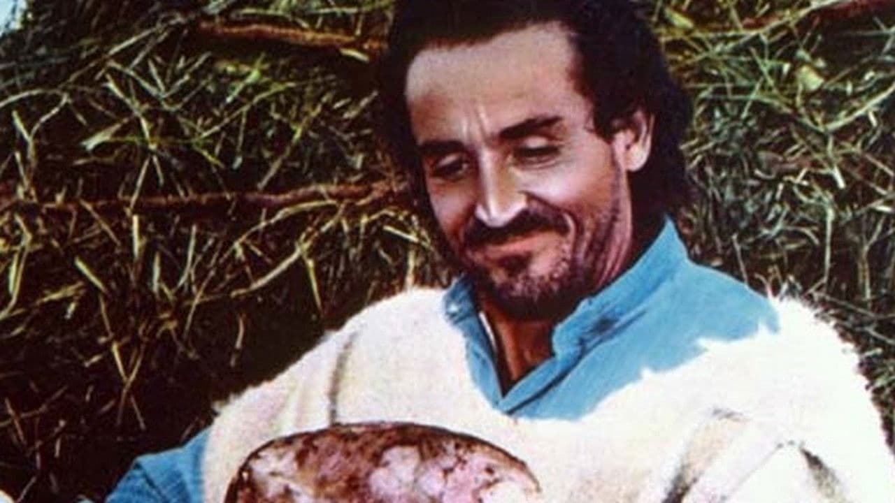 Poster backdrop for The Prophet