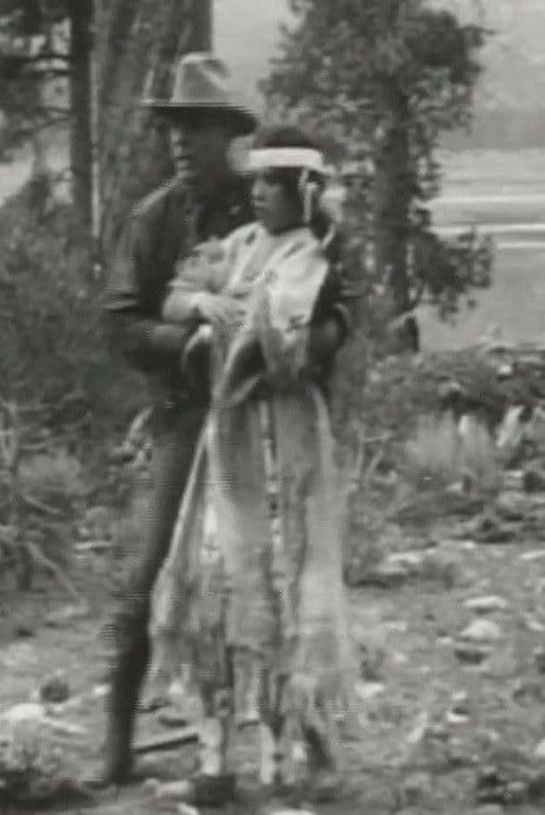 Poster backdrop for Little Dove's Romance