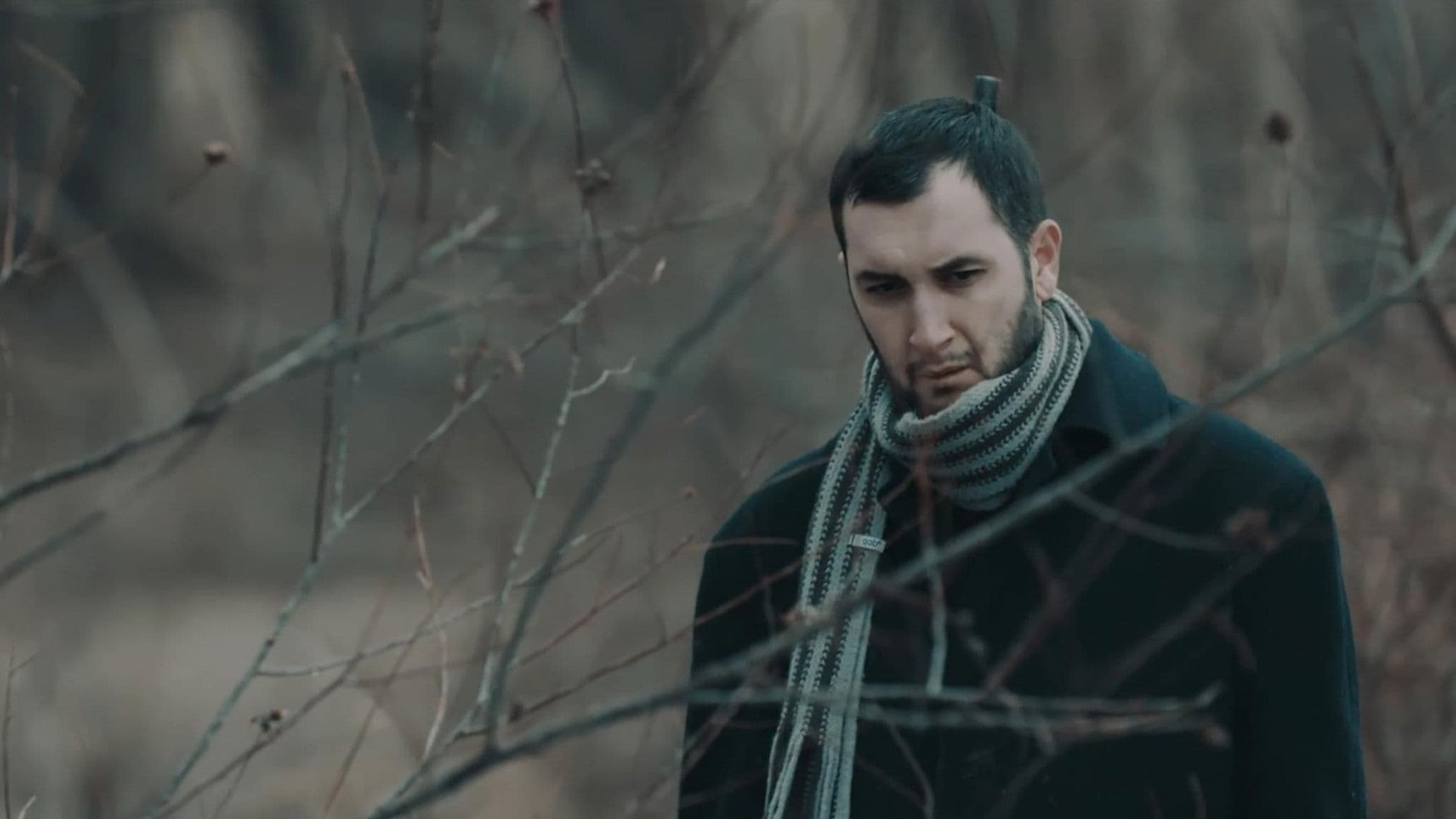 Poster backdrop for The Gentle Sadness of Things