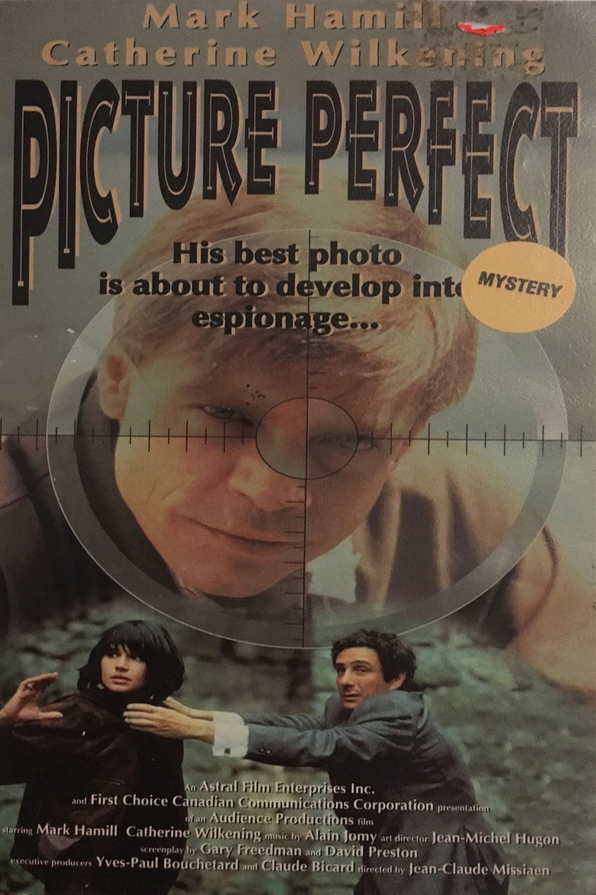 Poster backdrop for Picture Perfect