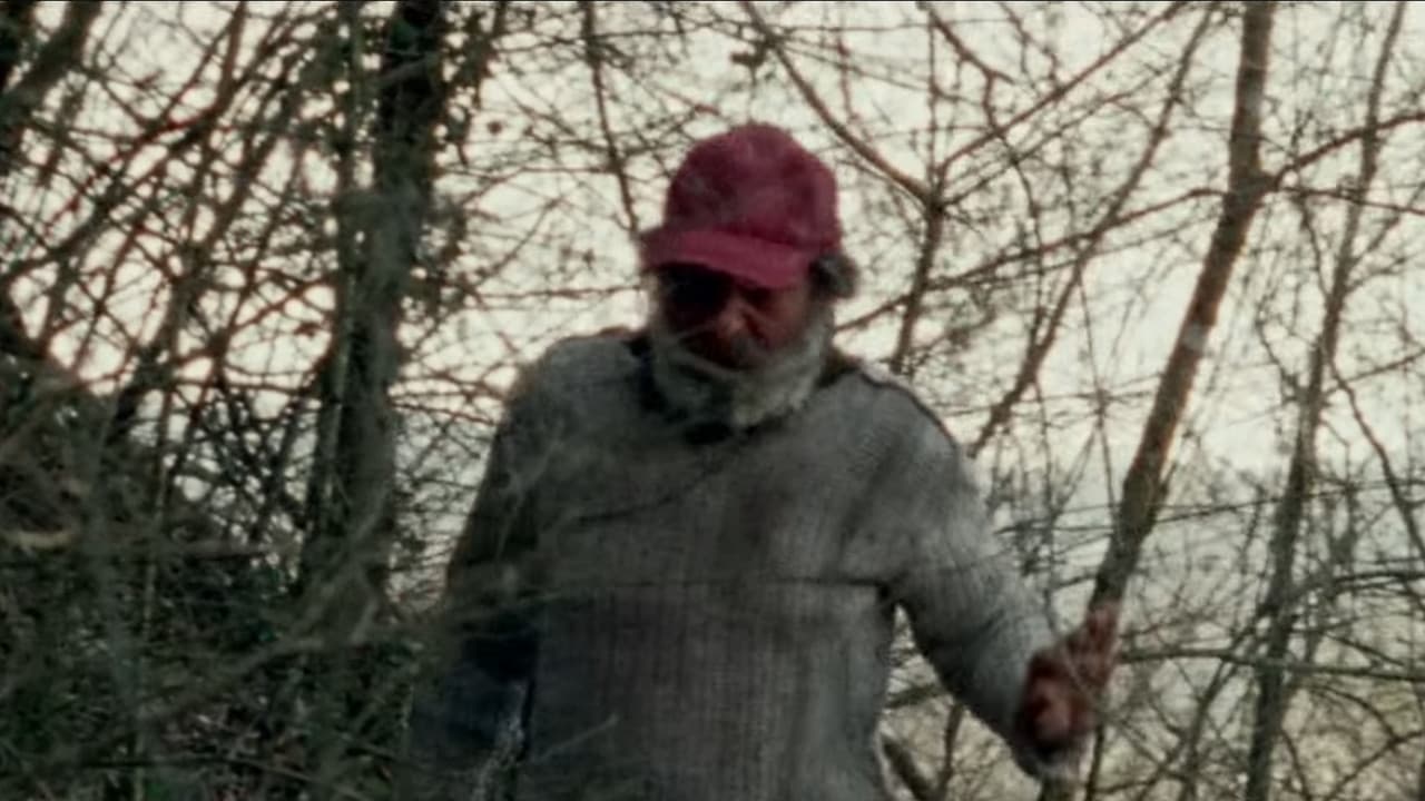 Poster backdrop for Il solengo