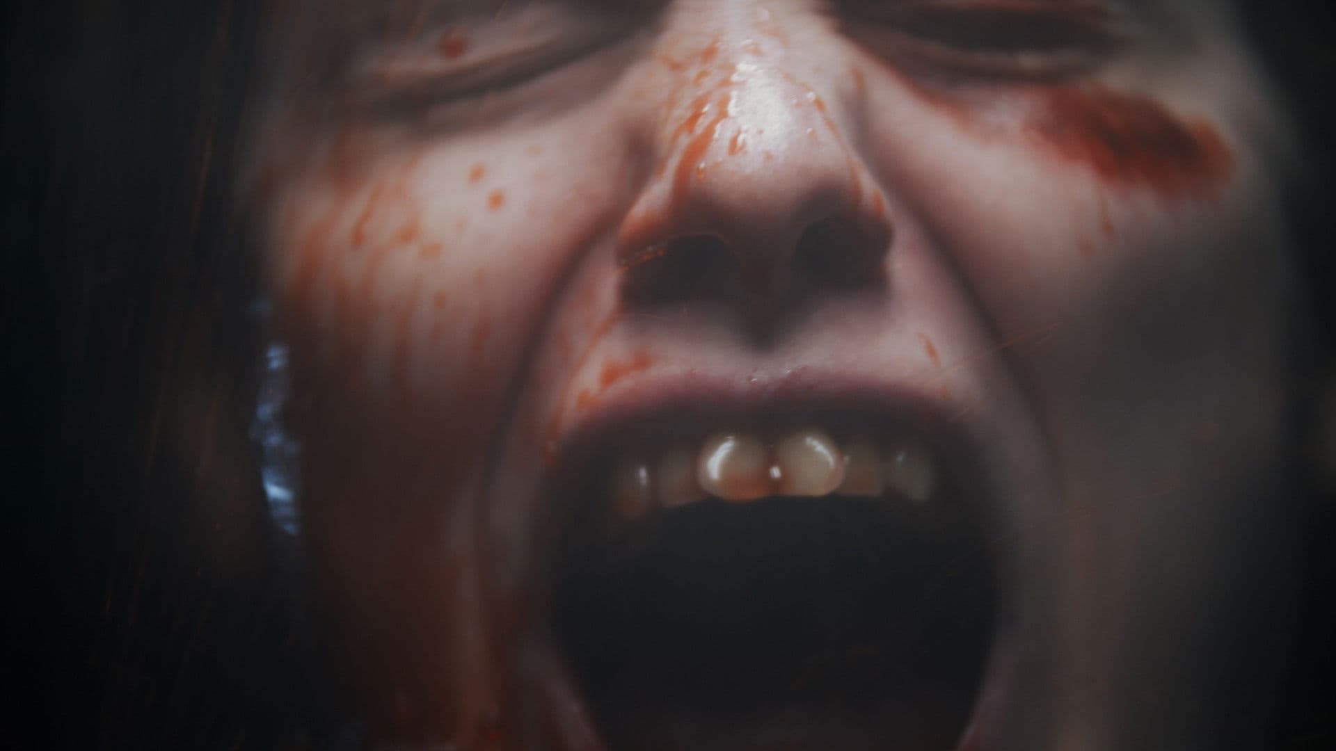 Poster backdrop for Rodentia