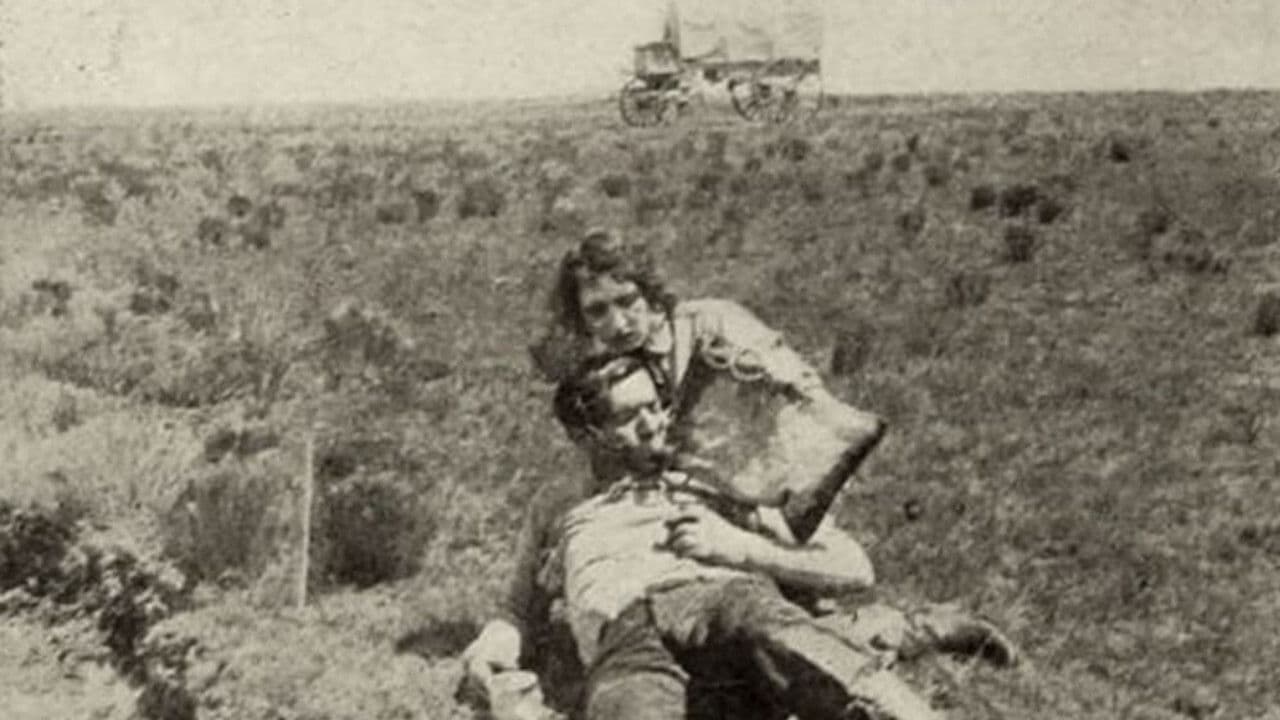 Poster backdrop for The Brave Deserve the Fair