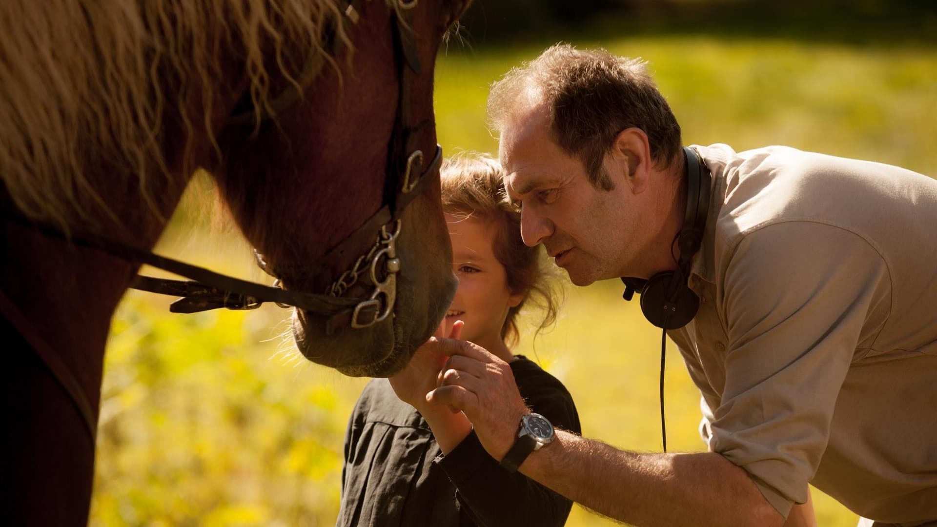 Poster backdrop for The Scent of Mandarin