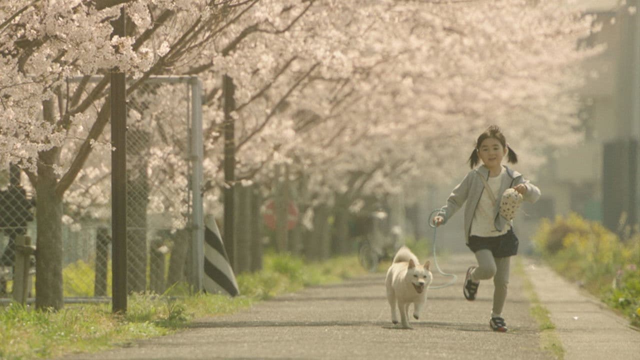 Poster backdrop for Show Me the Way to the Station