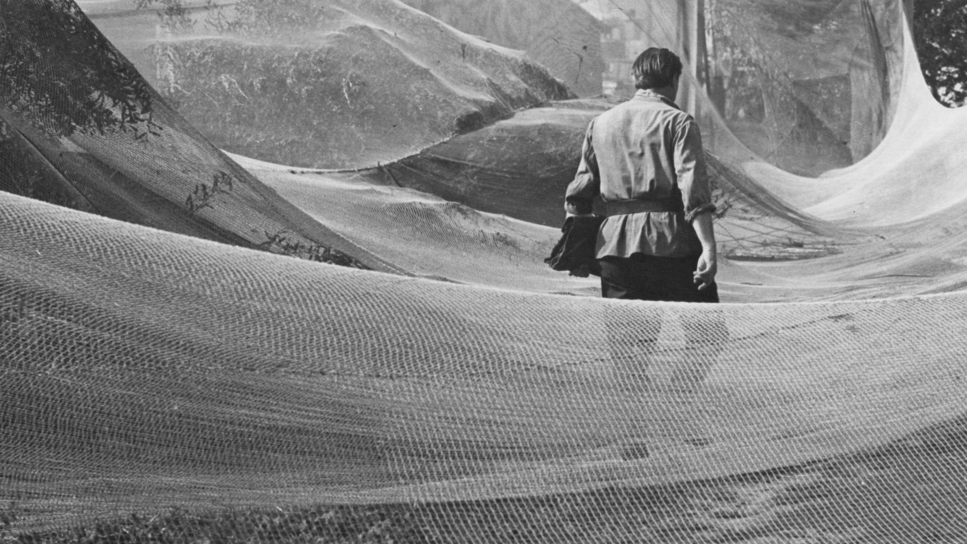 Poster backdrop for June, the Beginning of Summer