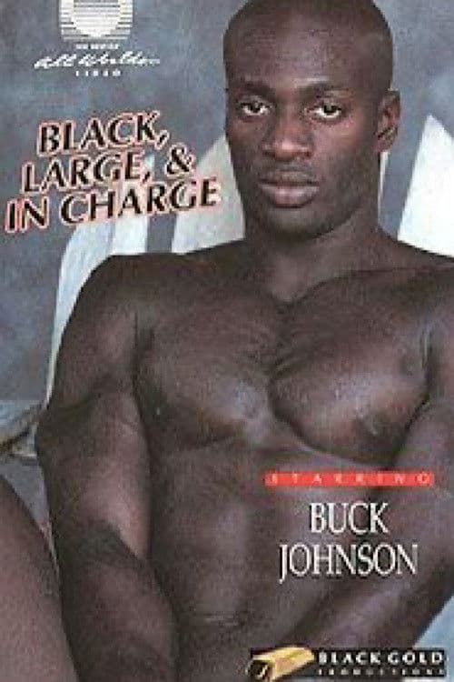 Poster for Black, Large and in Charge 1