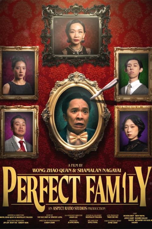 Poster for Perfect Family