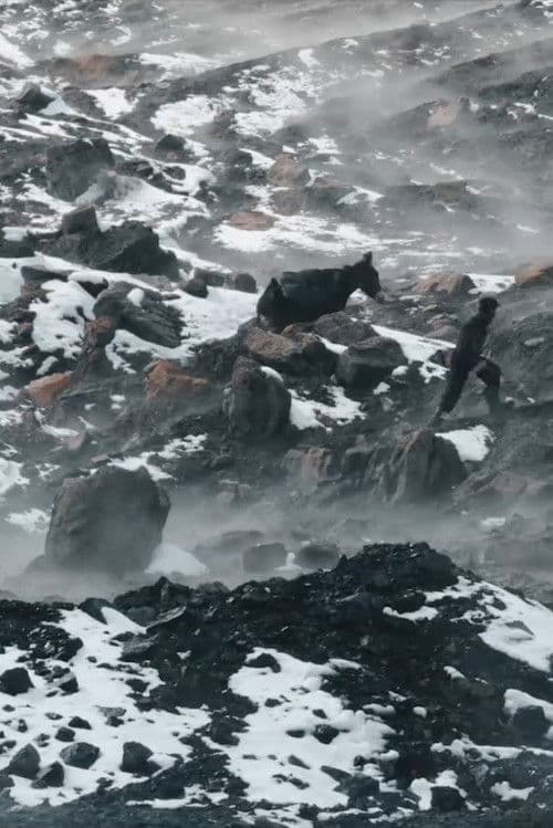 Poster for Afghan Coal