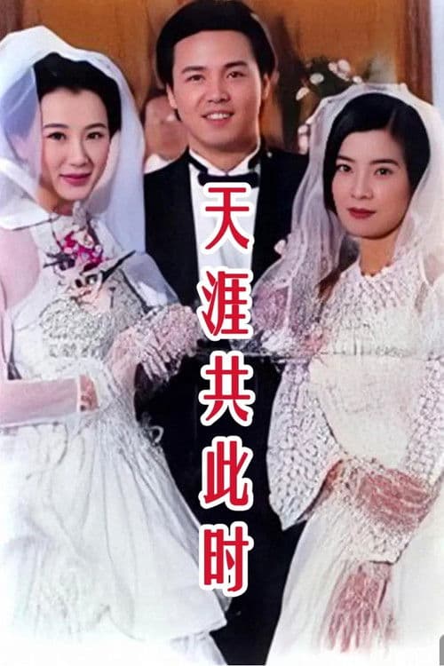 Poster for 天涯共此时