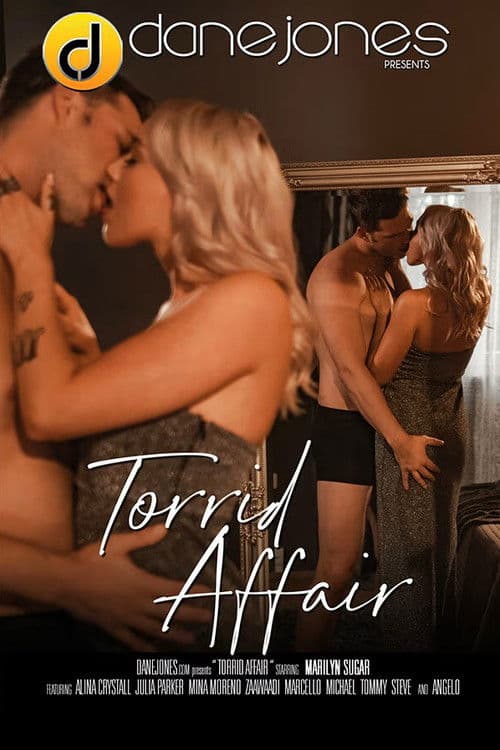 Poster for Torrid Affair