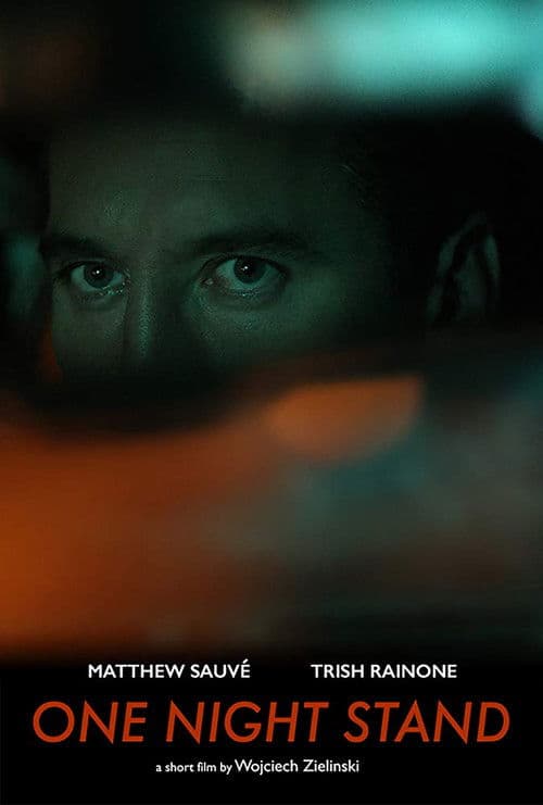 Poster for One Night Stand