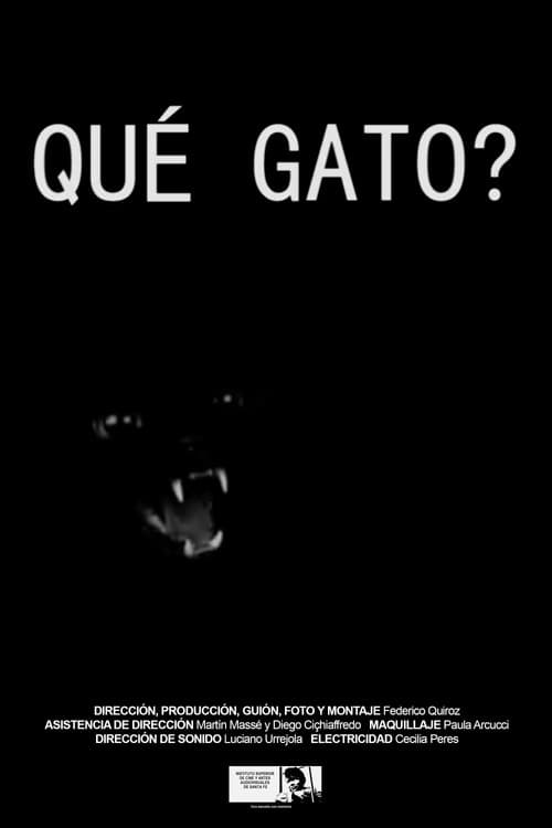 Poster for Qué gato?
